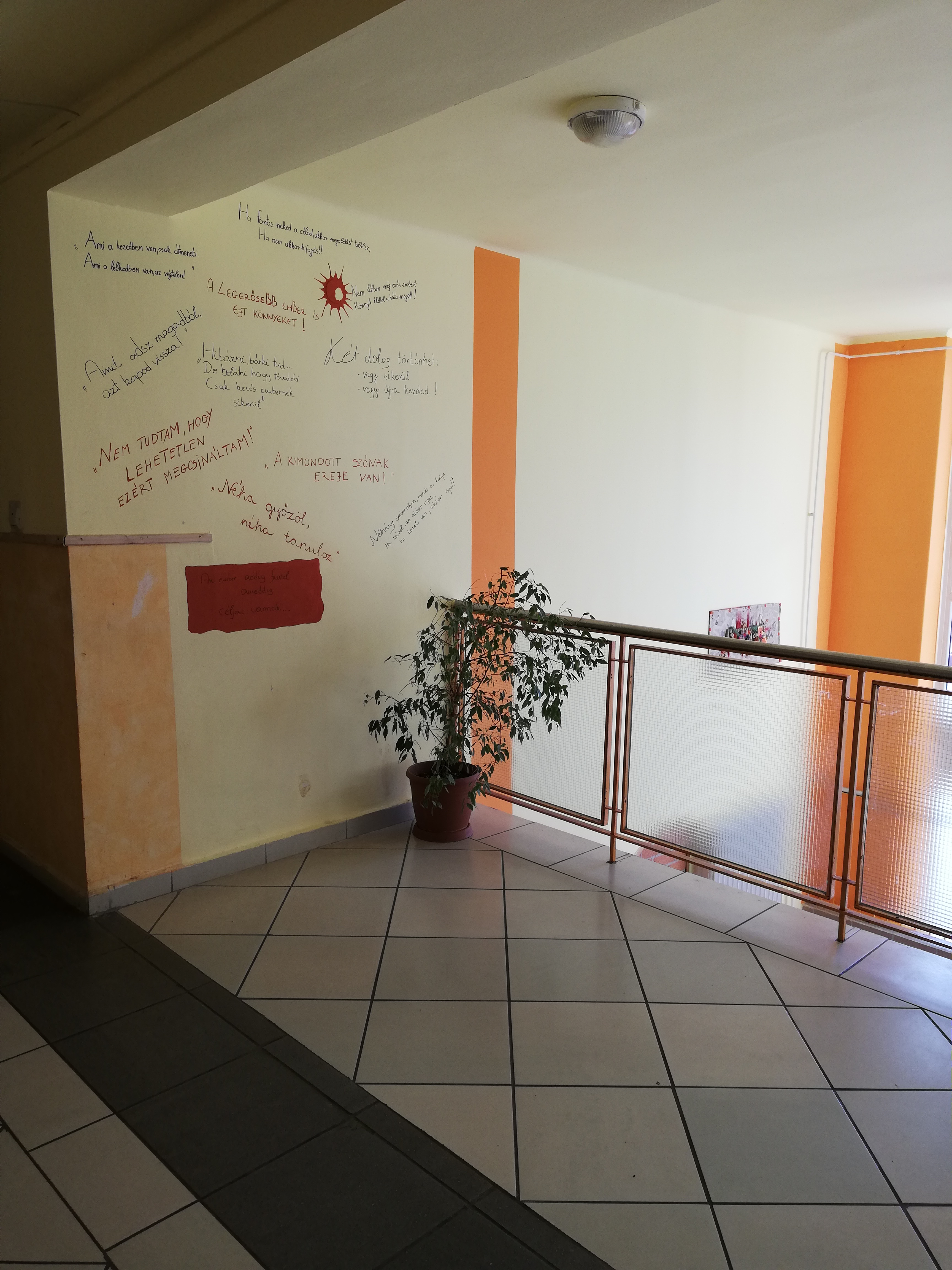Img 20200305 133600